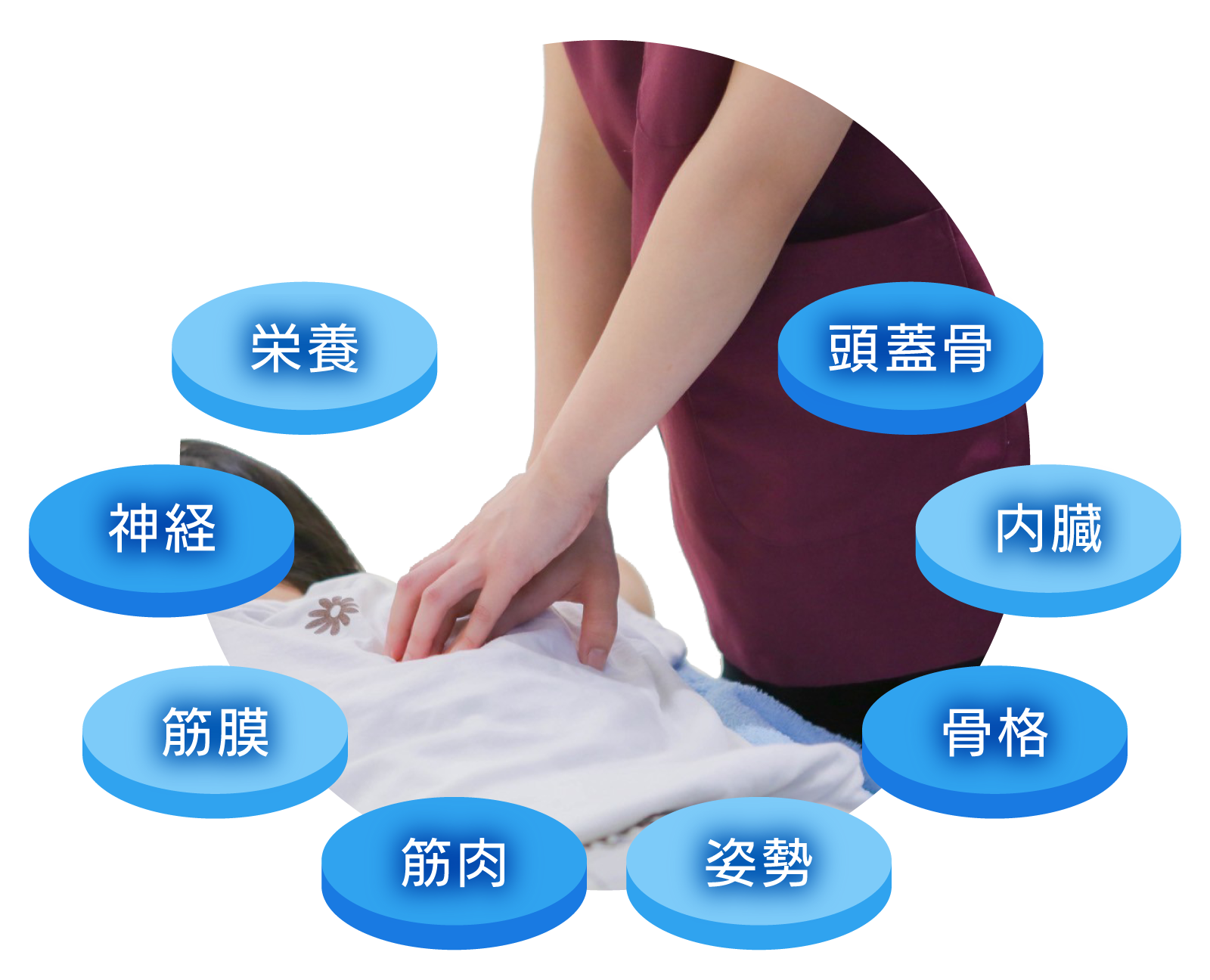 8つの要素にアプローチするイメージ